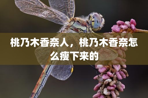 桃乃木香奈人，桃乃木香奈怎么瘦下来的