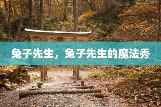兔子先生，兔子先生的魔法秀