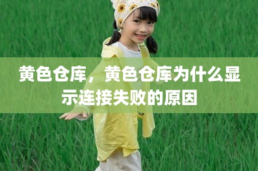 黄色仓库，黄色仓库为什么显示连接失败的原因