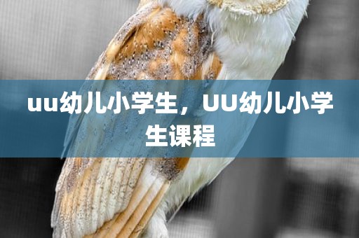 uu幼儿小学生，UU幼儿小学生课程