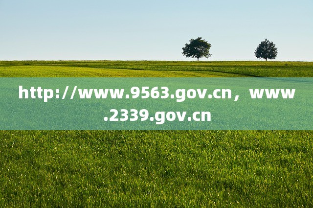 http://www.9563.gov.cn，www.2339.gov.cn