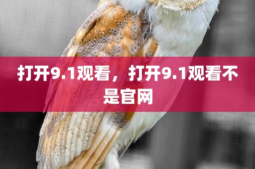 打开9.1观看，打开9.1观看不是官网