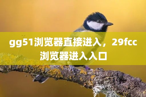 gg51浏览器直接进入，29fcc浏览器进入入口