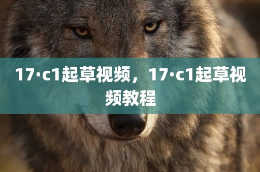 17·c1起草视频，17·c1起草视频教程