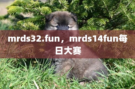 mrds32.fun，mrds14fun每日大赛