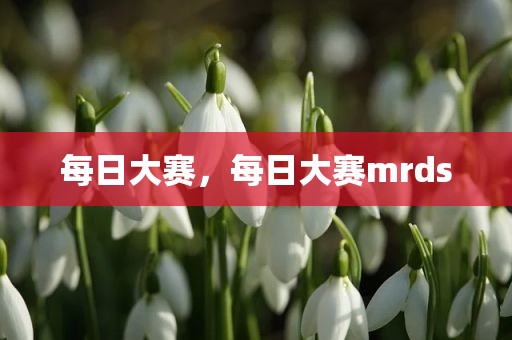 每日大赛，每日大赛mrds