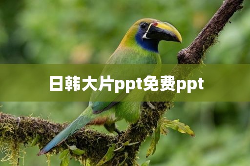 日韩大片ppt免费ppt