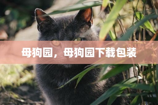 母狗园，母狗园下载包装