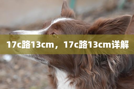 17c路13cm，17c路13cm详解