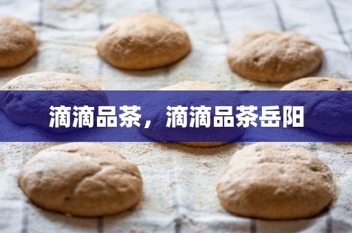 滴滴品茶，滴滴品茶岳阳