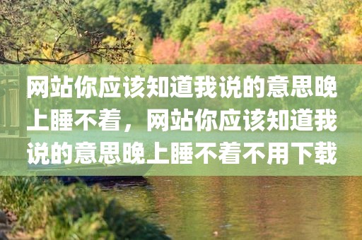 网站你应该知道我说的意思晚上睡不着，网站你应该知道我说的意思晚上睡不着不用下载