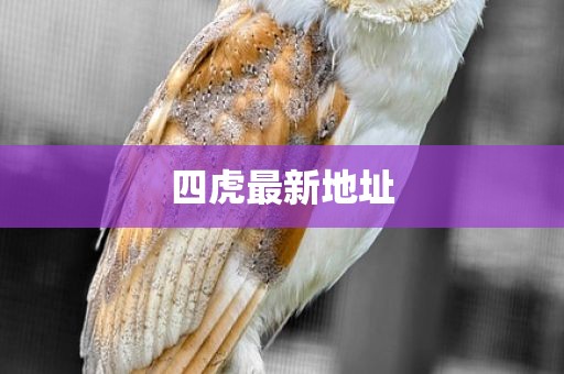 四虎最新地址