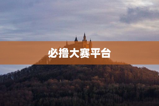 必撸大赛平台