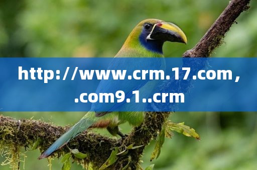 http://www.crm.17.com，.com9.1..crm
