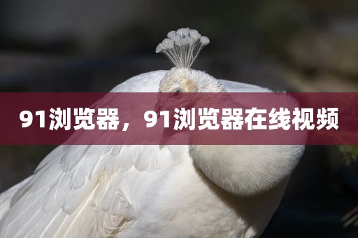 91浏览器，91浏览器在线视频