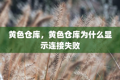 黄色仓库，黄色仓库为什么显示连接失败