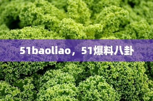 51baoliao，51爆料八卦