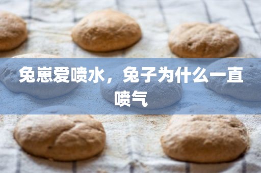 兔崽爱喷水，兔子为什么一直喷气