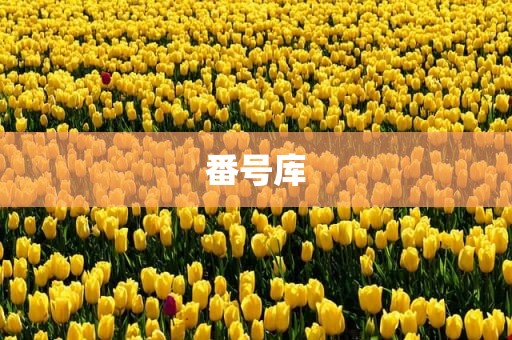 番号库