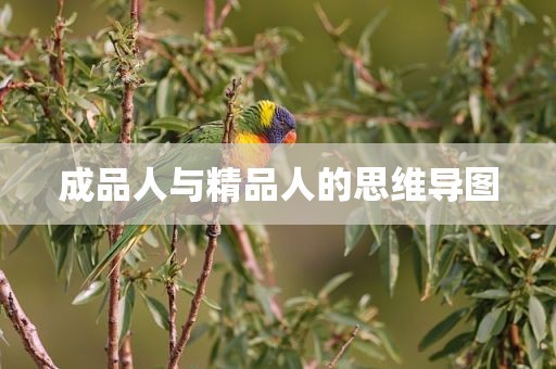 成品人与精品人的思维导图