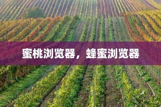 蜜桃浏览器，蜂蜜浏览器