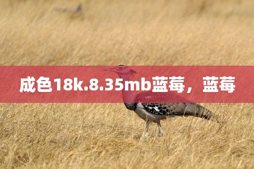 成色18k.8.35mb蓝莓，蓝莓