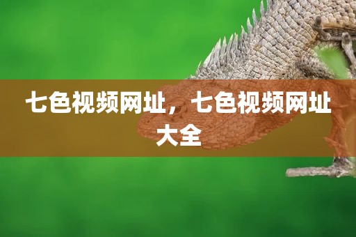 七色视频网址，七色视频网址大全