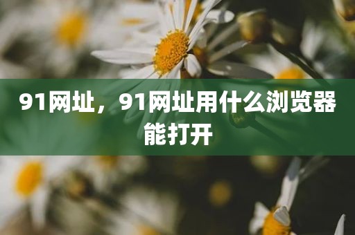 91网址，91网址用什么浏览器能打开