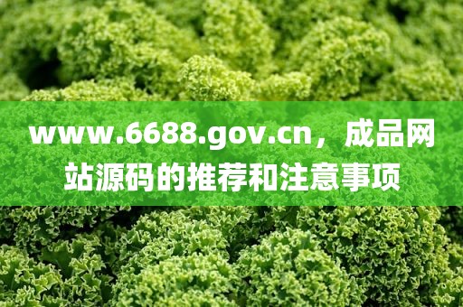 www.6688.gov.cn，成品网站源码的推荐和注意事项