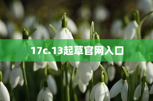 17c.13起草官网入口