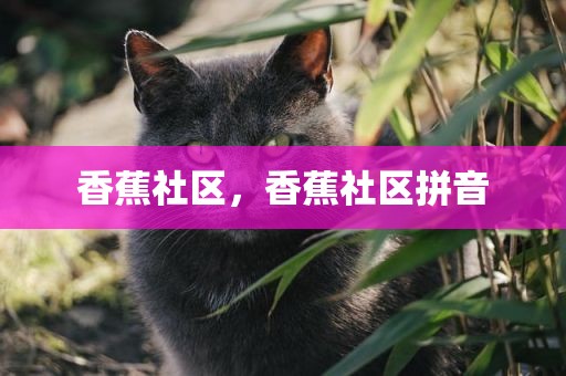 香蕉社区，香蕉社区拼音