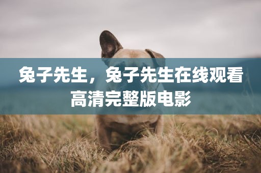 兔子先生，兔子先生在线观看高清完整版电影
