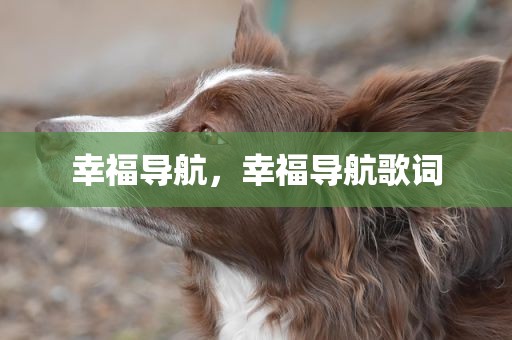 幸福导航，幸福导航歌词