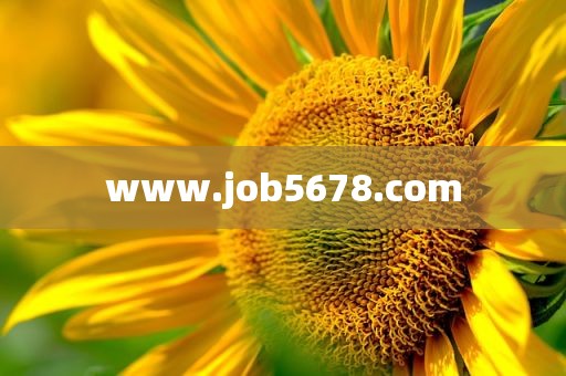 www.job5678.com