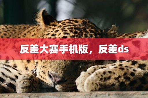 反差大赛手机版，反差ds