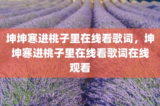 坤坤寒进桃子里在线看歌词，坤坤寒进桃子里在线看歌词在线观看