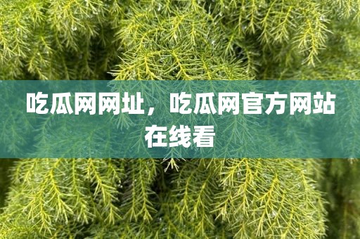 吃瓜网网址，吃瓜网官方网站在线看