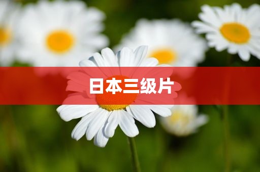 日本三级片