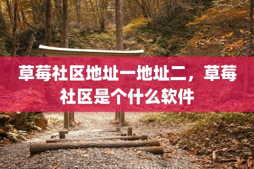 草莓社区地址一地址二，草莓社区是个什么软件