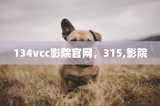 134vcc影院官网，315,影院