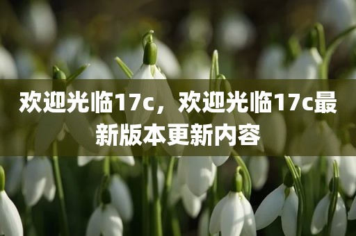 欢迎光临17c，欢迎光临17c最新版本更新内容