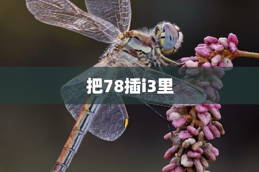 把78插i3里