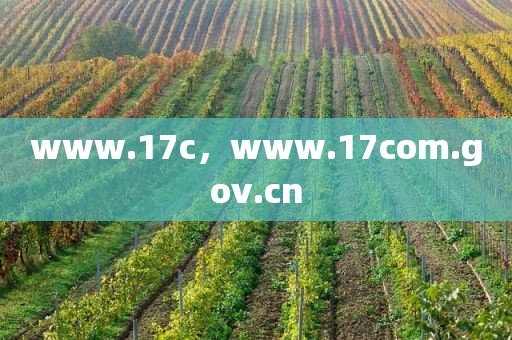 www.17c，www.17com.gov.cn