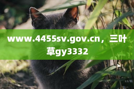 www.4455sv.gov.cn，三叶草gy3332