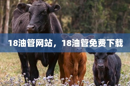 18油管网站，18油管免费下载