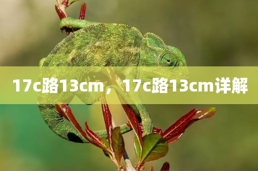 17c路13cm，17c路13cm详解