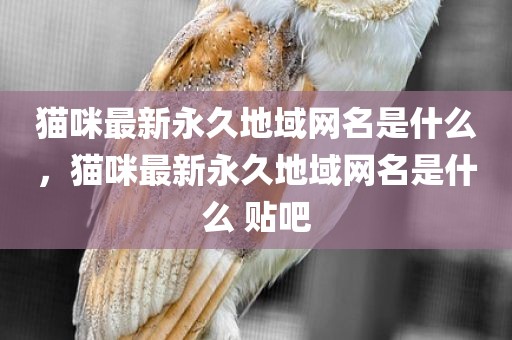猫咪最新永久地域网名是什么，猫咪最新永久地域网名是什么 贴吧