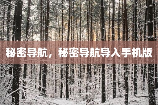 秘密导航，秘密导航导入手机版