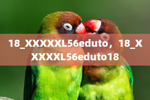 18_XXXXXL56eduto，18_XXXXXL56eduto18