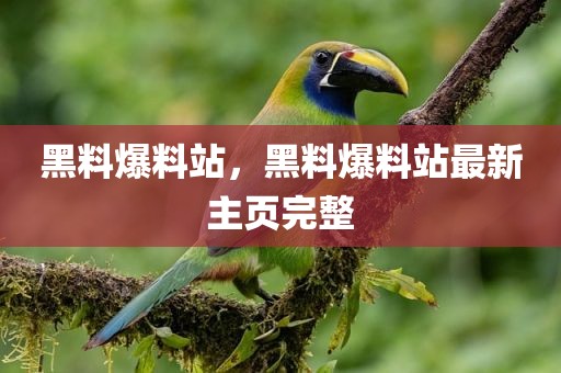 黑料爆料站，黑料爆料站最新主页完整